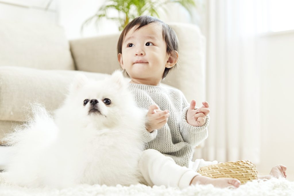 ペット・お子様にも安全なカビ対策　コーティング